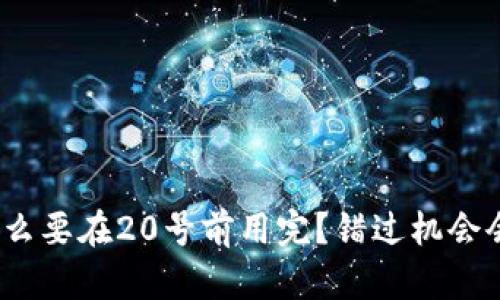 数字钱包为什么要在20号前用完?错过机会会有什么影响?