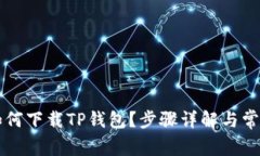 苹果手机如何下载TP钱包？步骤详解与常见问题解