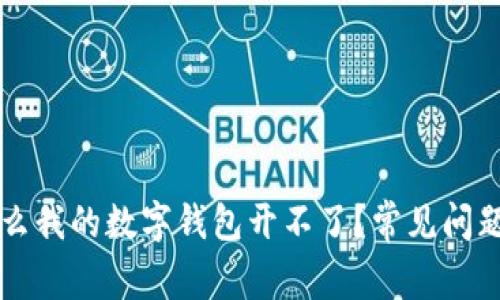 为什么我的数字钱包开不了？常见问题解答