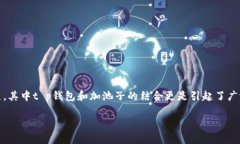 t p钱包加池子好不好？这是许多投资者和用户在