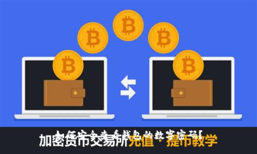 如何安全查看钱包的数字密码？