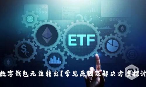 数字钱包无法转出？常见原因及解决方案探讨