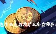TP钱包里的无损挖矿风险在哪些方面？