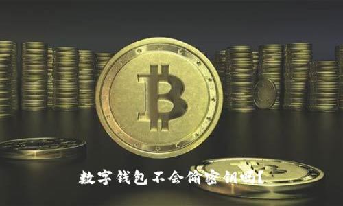 数字钱包不会偷密钥吗?