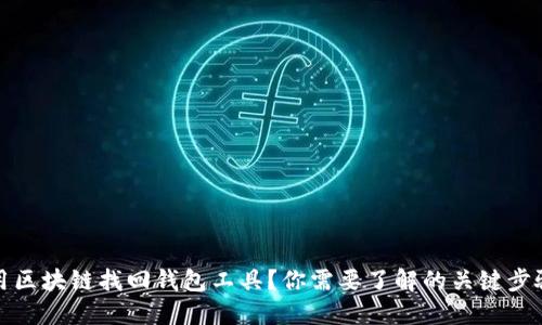 如何使用区块链找回钱包工具？你需要了解的关键步骤和技巧