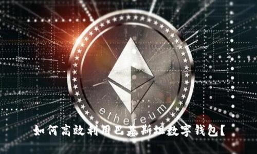 如何高效利用巴基斯坦数字钱包？