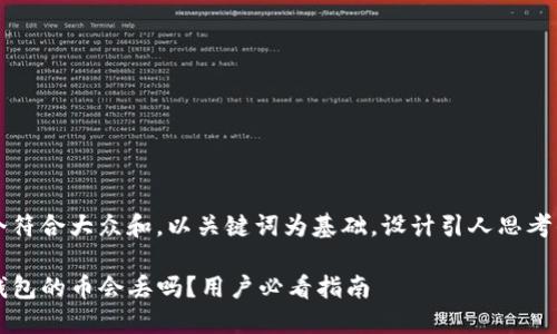 思考一个符合大众和，以关键词为基础，设计引人思考的疑问句

放在TP钱包的币会丢吗？用户必看指南