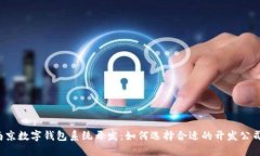南京数字钱包系统开发：如何选择合适的开发公