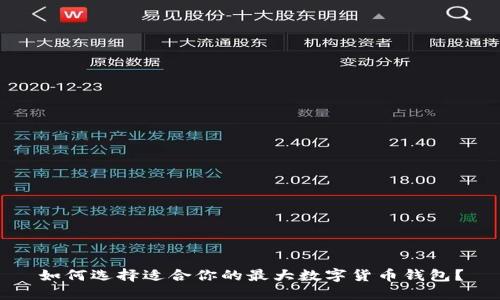 如何选择适合你的最大数字货币钱包？