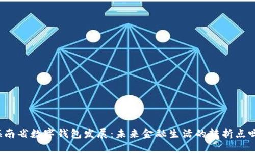 海南省数字钱包发展：未来金融生活的转折点吗？