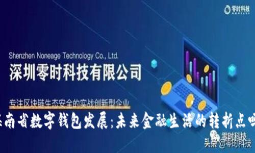 海南省数字钱包发展：未来金融生活的转折点吗？