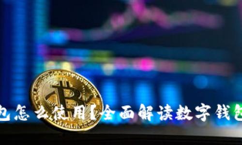 领到的数字钱包怎么使用？全面解读数字钱包的功能与操作