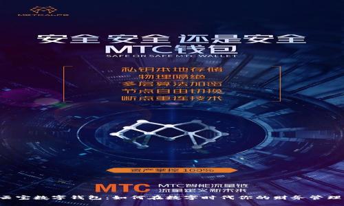 云宝数字钱包:如何在数字时代你的财务管理?