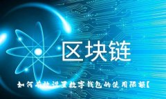 如何有效设置数字钱包的使用限额？