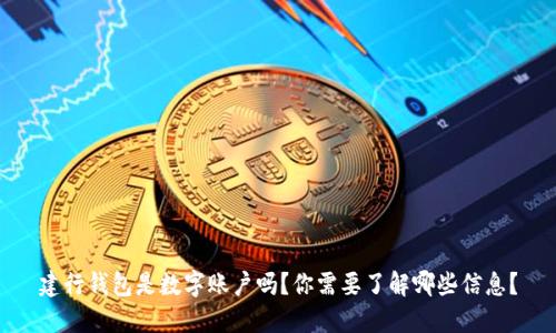建行钱包是数字账户吗？你需要了解哪些信息？
