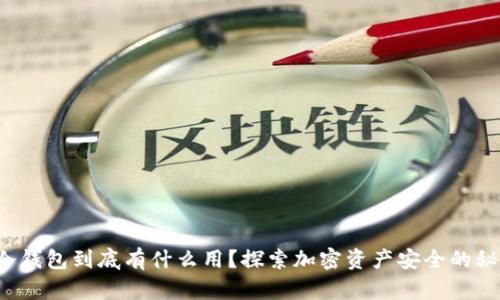 TP冷钱包到底有什么用？探索加密资产安全的秘密！