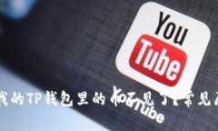 为什么我的TP钱包里的币不见了？常见原因解析
