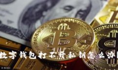 数字钱包打不开私钥怎么办？