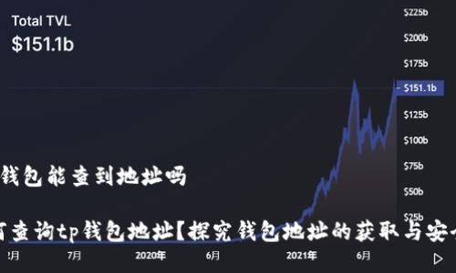 t p钱包能查到地址吗

如何查询tp钱包地址？探究钱包地址的获取与安全性