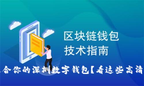  如何选择适合你的深圳数字钱包？看这些高清图片引导你！
