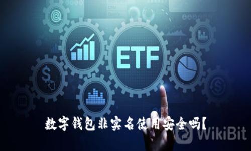 数字钱包非实名使用安全吗？
