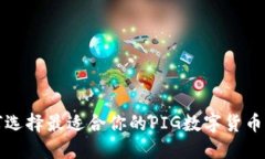  如何选择最适合你的PIG数字货币钱包？