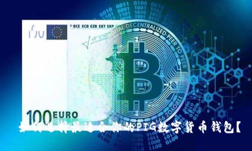  如何选择最适合你的PIG数字货币钱包？