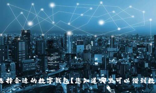 大: 如何选择合适的数字钱包？您知道哪里可以借到数字钱包吗？