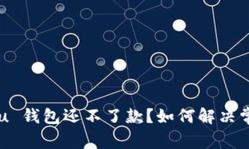 为什么 u 钱包还不了款？如何解决常见问题？