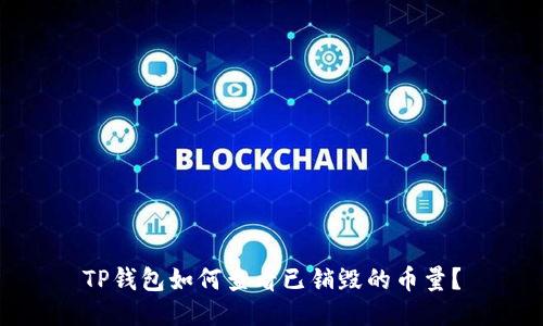 TP钱包如何查看已销毁的币量？
