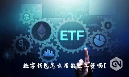 数字钱包怎么用能发工资吗?