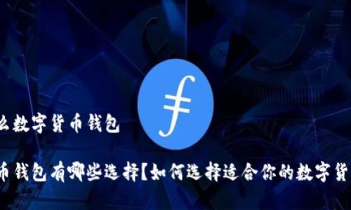 都有什么数字货币钱包

数字货币钱包有哪些选择？如何选择适合你的数字货币钱包？