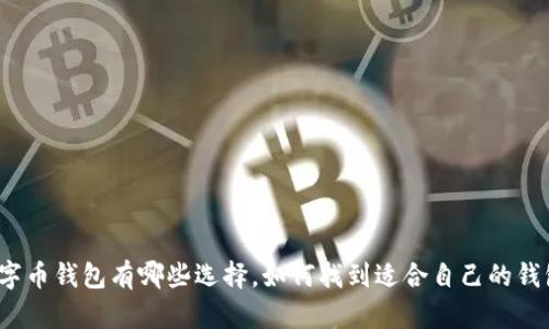 数字币钱包有哪些选择，如何找到适合自己的钱包？