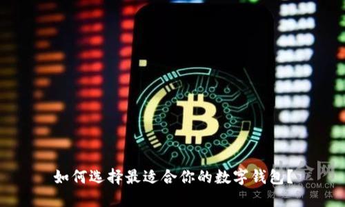 如何选择最适合你的数字钱包？