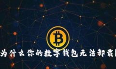 为什么你的数字钱包无法卸载？