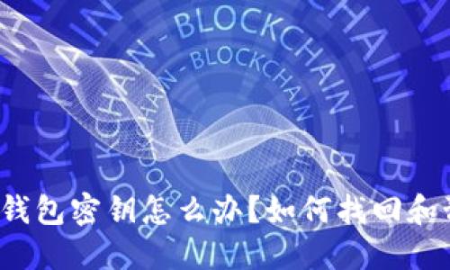 : 丢失加密币钱包密钥怎么办?如何找回和预防安全隐患!