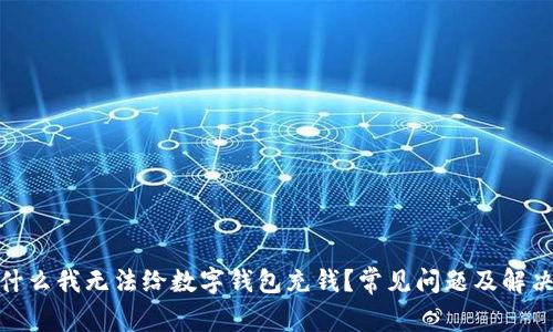 : 为什么我无法给数字钱包充钱？常见问题及解决方案