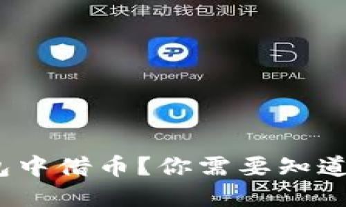  如何在TP钱包中借币？你需要知道的技巧与步骤
