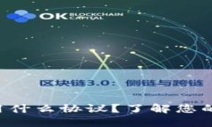 充币到TP钱包用什么协议？了解您的加密货币选项