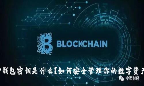 TP钱包密钥是什么？如何安全管理你的数字资产？