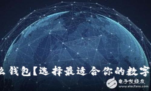 数字货币要用什么钱包？选择最适合你的数字钱包类型有哪些？