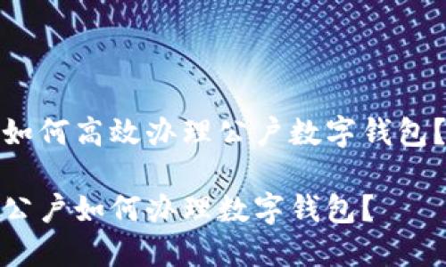 如何高效办理公户数字钱包？

公户如何办理数字钱包？