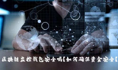 区块链监控钱包安全吗？如何确保资金安全？