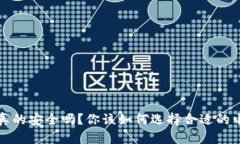 t p钱包真的安全吗？你该如何选择合适的电子钱