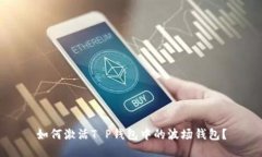 如何激活T P钱包中的波场钱包？