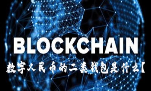 数字人民币的二类钱包是什么？