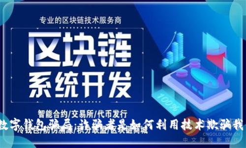 最新数字钱包骗局：诈骗者是如何利用技术欺骗我们的？