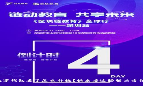 数字钱包丢了怎么补救？快来看这些解决方法！