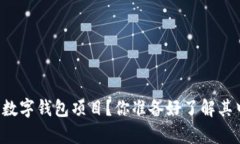 为什么要停止数字钱包项目？你准备好了解其中