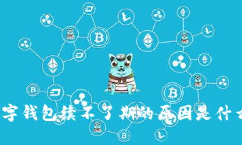 数字钱包续不了期的原因是什么？
